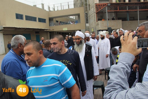 sol7 moneer lud 0308 (16).JPG